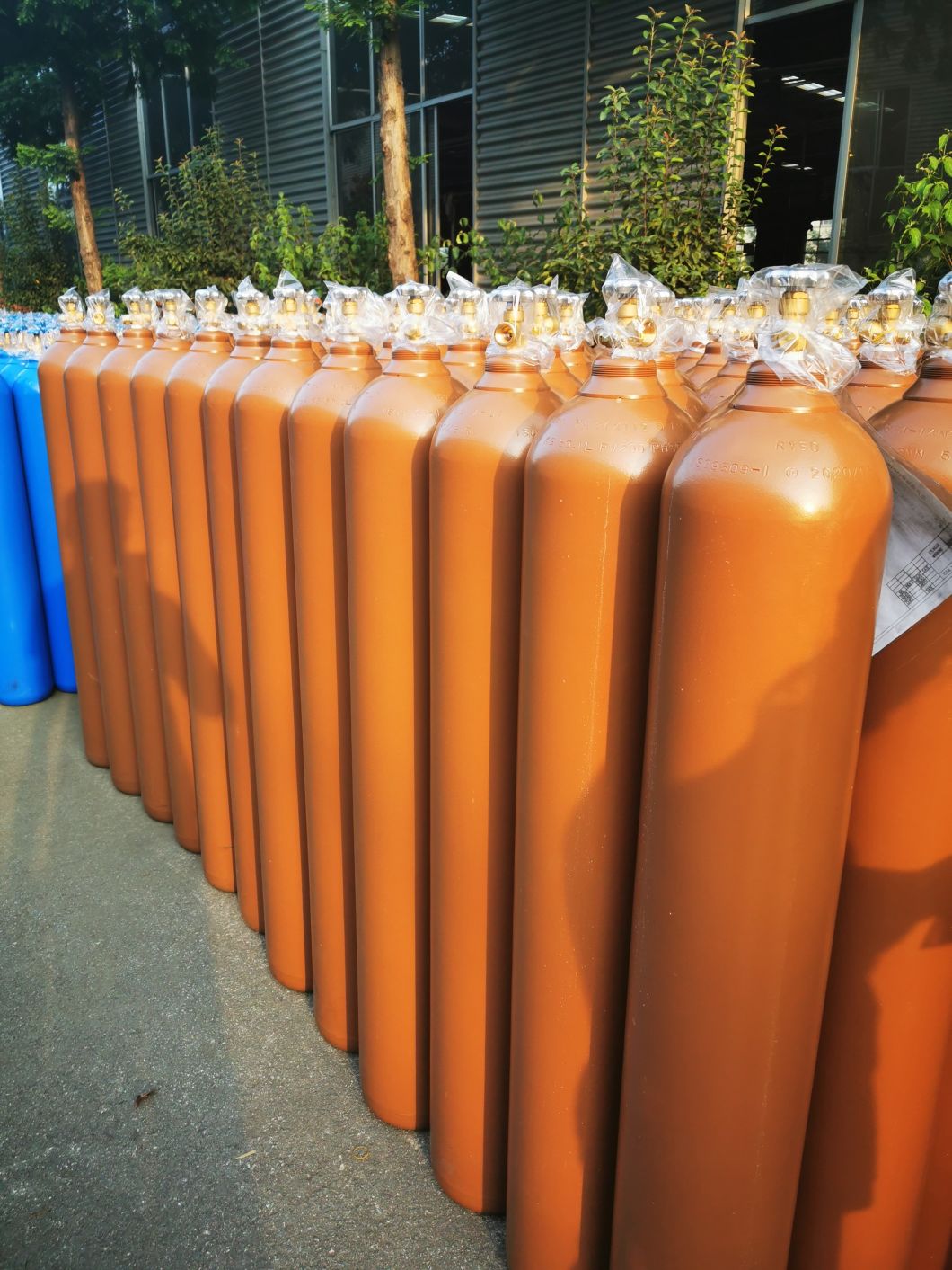 47L230bar High Pressure Vessel Seamless Steel Argon Gas Cylinder